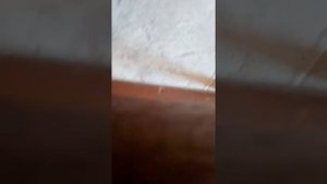 Сварочный полуавтомат Контур 205.