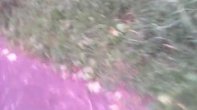 Вызов существ | вызываем слендера смотреть онлайн