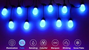 Govee Dreamcolor Led Outdoor String Light Bulbs | Warm White and 1st RGB w/ Dreamcolor