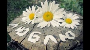 Пусть мир весь рушится я счастлив потому ,что ты рядом...