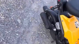 Honda bite 50cc giá công khai 5m2 ibx