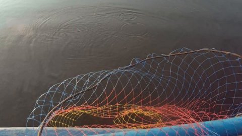 Холмогоры, Борок