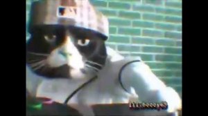 DJ Kitty - Stereo Love Edward Maya 1 HOUR