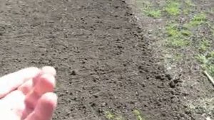 Как в реальности проходит «Земельная реформа» в нашей стране. Люди ни с чем, распил стартовал