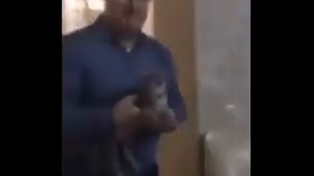 Дед на гироскутере с котом в руках смотреть онлайн