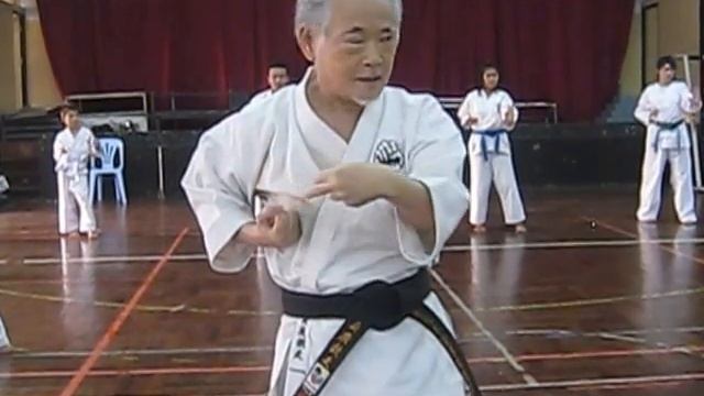 Tensho Kata by Shihan Sadahiro смотреть онлайн