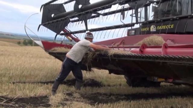 С Днем работника сельского хозяйства и перерабатывающей промышленности!