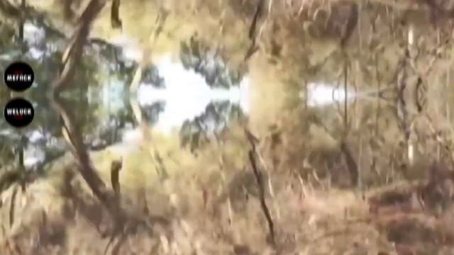 21 Luckiest People Caught On Camera!! #3 смотреть онлайн