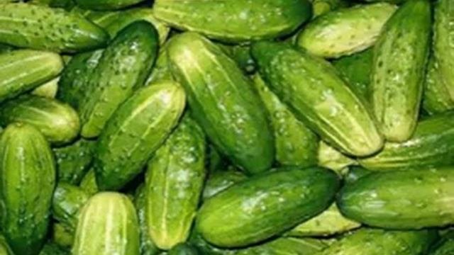 Семена Огурца Любимый малыш купить+