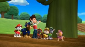 PAW Patrol | PAW Patrol salva a un buhito |  Nick Jr. en Español