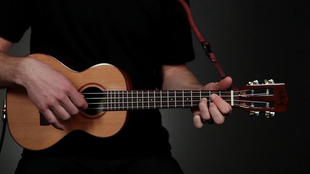 "Little Old Log Cabin In The Lane" Performance / Country & Bluegrass Pickin' смотреть онлайн