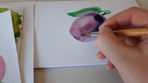 Акварель для начинающих. Как нарисовать сливу