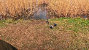 В РЫБАЛКЕ ГЛАВНОЕ НЕ РЕЗУЛЬТАТ А ПРОЦЕСС