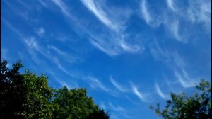 А. Блок - Лениво и тяжко плывут облака. Читает М. Белокопытова. Библиотека мкрн. Луговая