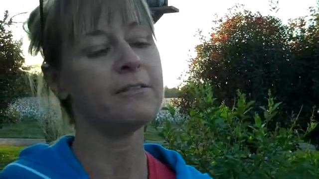 Stevia...the sweetner God made! смотреть онлайн