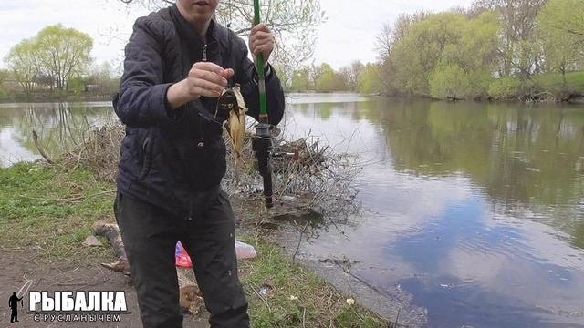Майские караси. Рыбалка на донку.