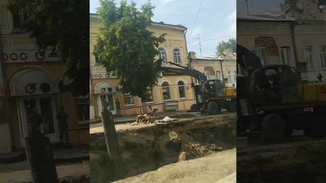 На ул. Московской спилили липы которые росли там много лет .