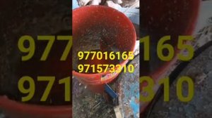 терка для корма баран, крс гус страус 220в 3кв