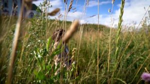 Русские просторы..