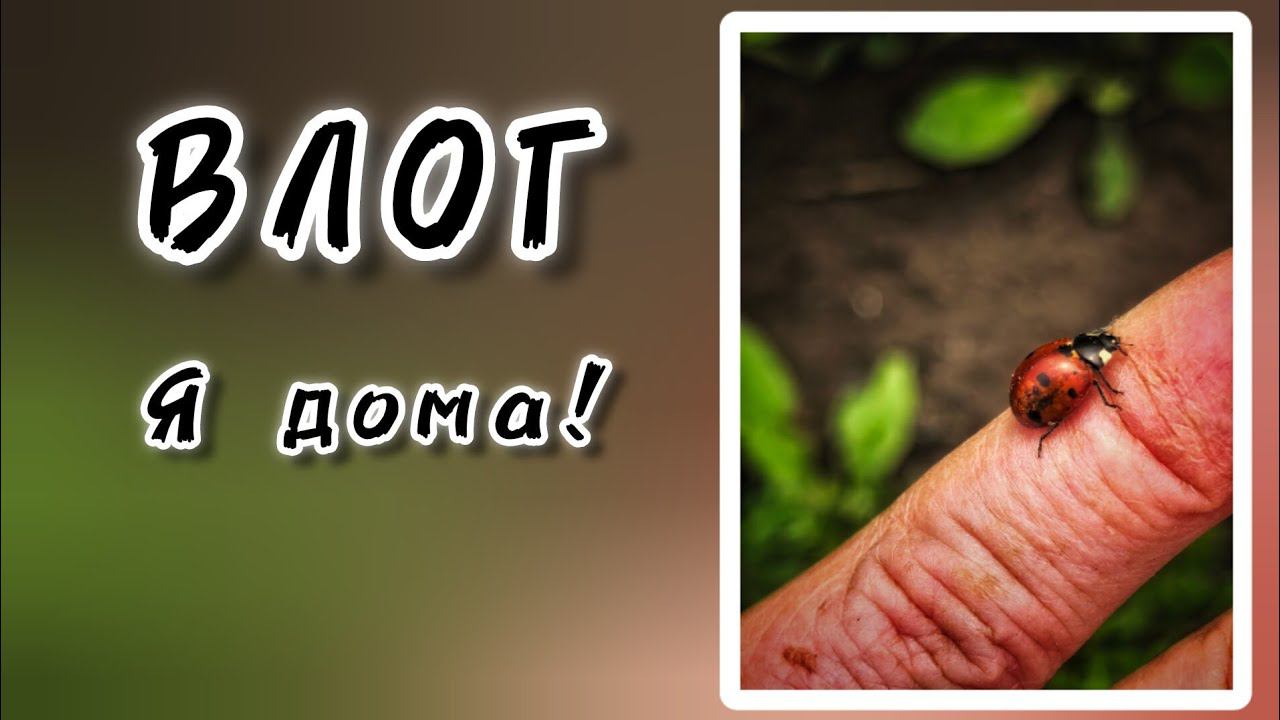 ВЛОГ. Я дома! смотреть онлайн