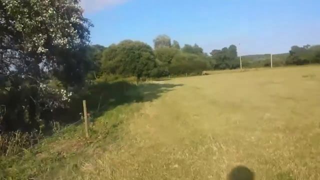 #BlazedAdventures DMT Trip - KILLER COWS!! смотреть онлайн