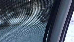 Каркасные шторки "ЛЕГАТОН" VW Тигуан