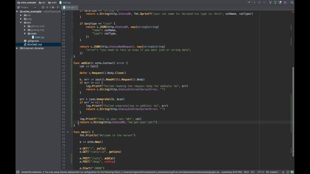 Creating Golang WebServer With Echo - Part 3: Parsing JSON From Request