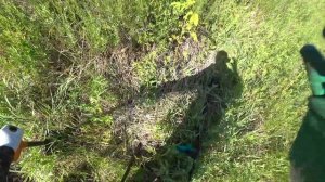КОПАЮ МЕТАЛЛ вдоль ЖД ...РЕЗУЛЬТАТ ЗА 2 ДНЯ