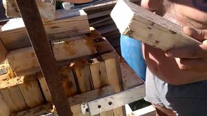 приготовление яблочного вина