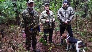 ЭСТОНСКАЯ ГОНЧАЯ/ВЫЖЛЕЦ БУРАН ОПИСАНИЕ РАБОТЫ ПО ЗАЙЦУ