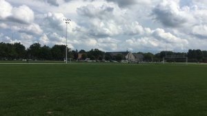 Stihl br 600 vs br 700