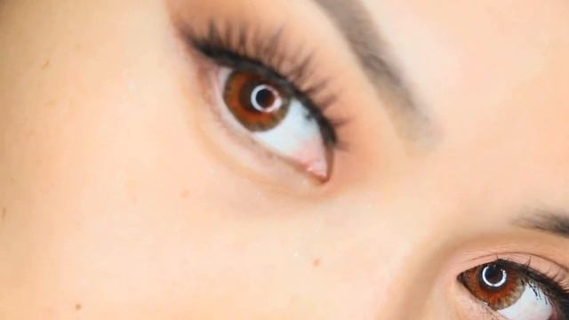 House Of Lashes NATALIA LITE Review & Quick Tutorial