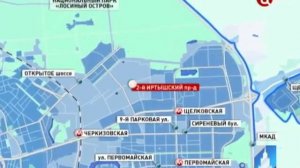 В Москве бродячие собаки загрызли человнека