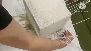 Кукурузная листва._Бумажная лоза.