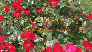 Поздравление с Днем Ангела Любови! Любовь, Люба! Красивые поздравления и Музыкальные открытки