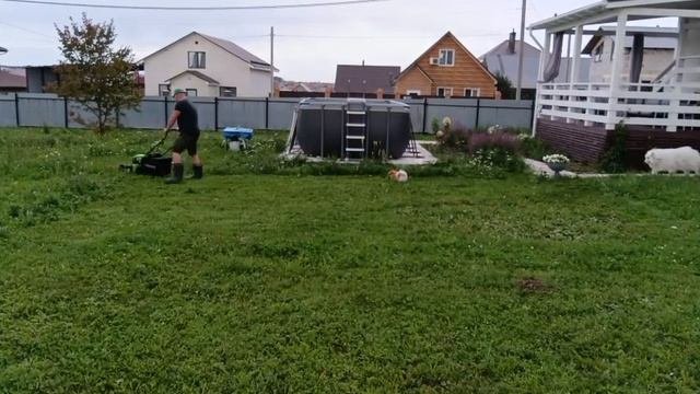 Главное развлечение!