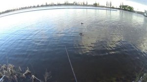 Первая ловля на Бомбарду.....на Воронежском водохранилище!!!!!!
