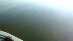 Лодочный мотор Салют 2.