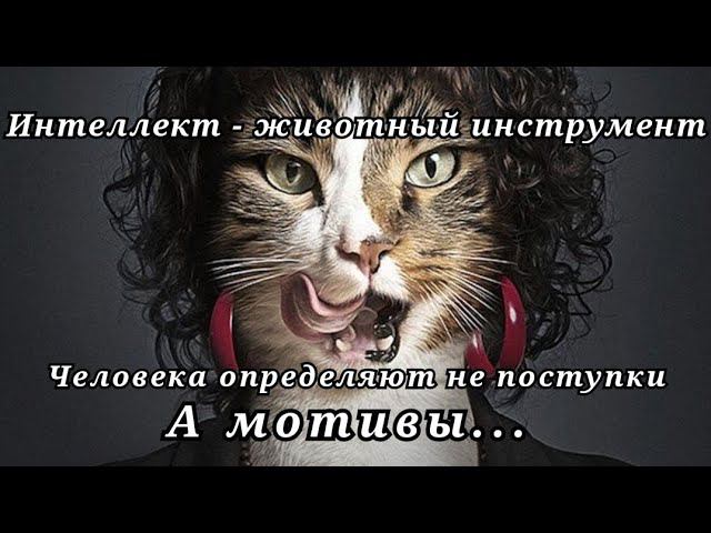 Интеллект - не значит ЧЕЛОВЕЧНОСТЬ | ВОЗРОЖДЕНИЕ ЧЕЛОВЕЧЕСТВА ч.3 смотреть онлайн