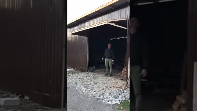 ворота необычный механизм