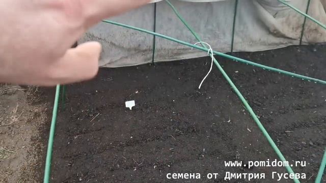 Редис и Зелень посеяны Открытие посадочного сезона 2021 в Помидоме Когда уже можно сеять в теплицу? смотреть онлайн