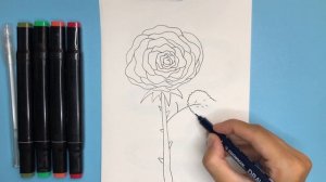 Как нарисовать розу / Роза / Рисунки для детей