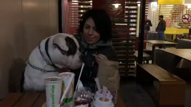 Когда нельзя, но очень хочется, то можно))) но только чуть-чуть! смотреть онлайн