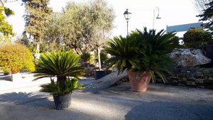 Провалиться в прошлое. Любимые места в Риме. Аппиева дорога и парк Акведуков. Вдали от шума