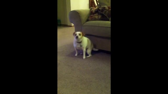 10 Лучших видео и приколов из Coub(Куб) и Vine(Вайн)#2 | ZMVan | 2015 смотреть онлайн