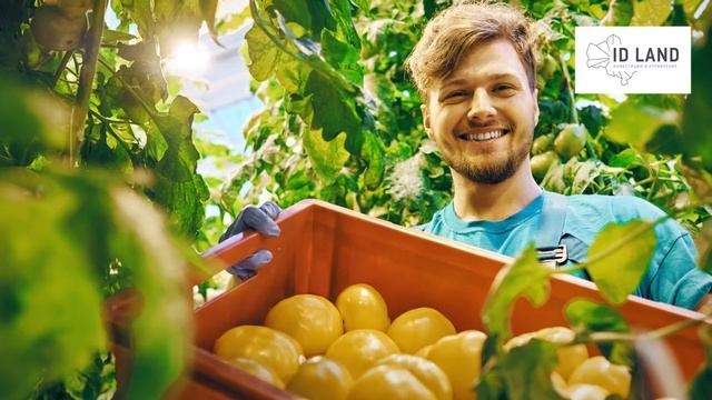 Участки для агробизнеса, КФХ - от 1 га в Подмосковье смотреть онлайн