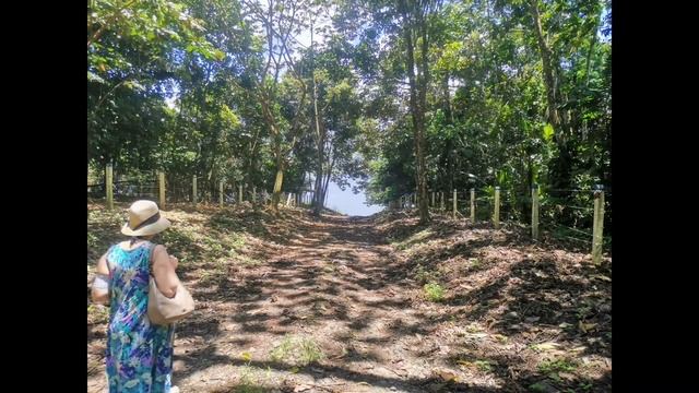 #costarika Поездка к озеру и вулкану Arenal смотреть онлайн