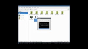 Installing wattOS Microwatt R10 Linux on Oracle VirtualBox