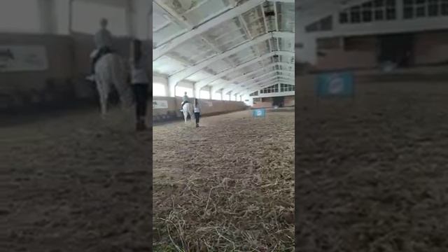 КСК Родео, занятие на лошади Акварель смотреть онлайн