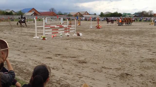 Конный спорт конкур смотреть онлайн